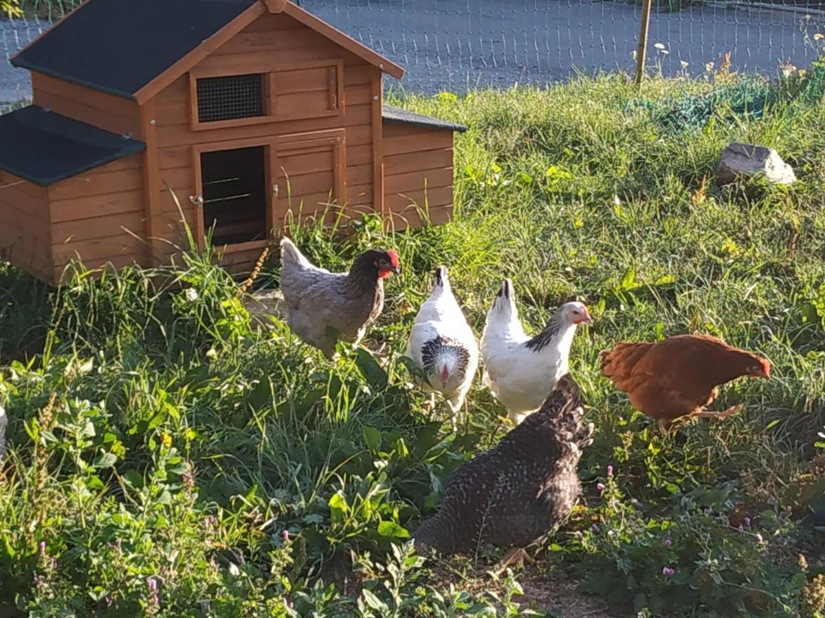 Maison D'Hotes Des Bassins D'Oche Saint-Paul-en-Chablais Kültér fotó