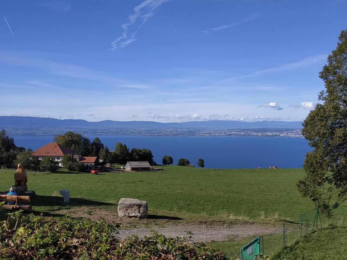 Maison D'Hotes Des Bassins D'Oche Saint-Paul-en-Chablais Kültér fotó