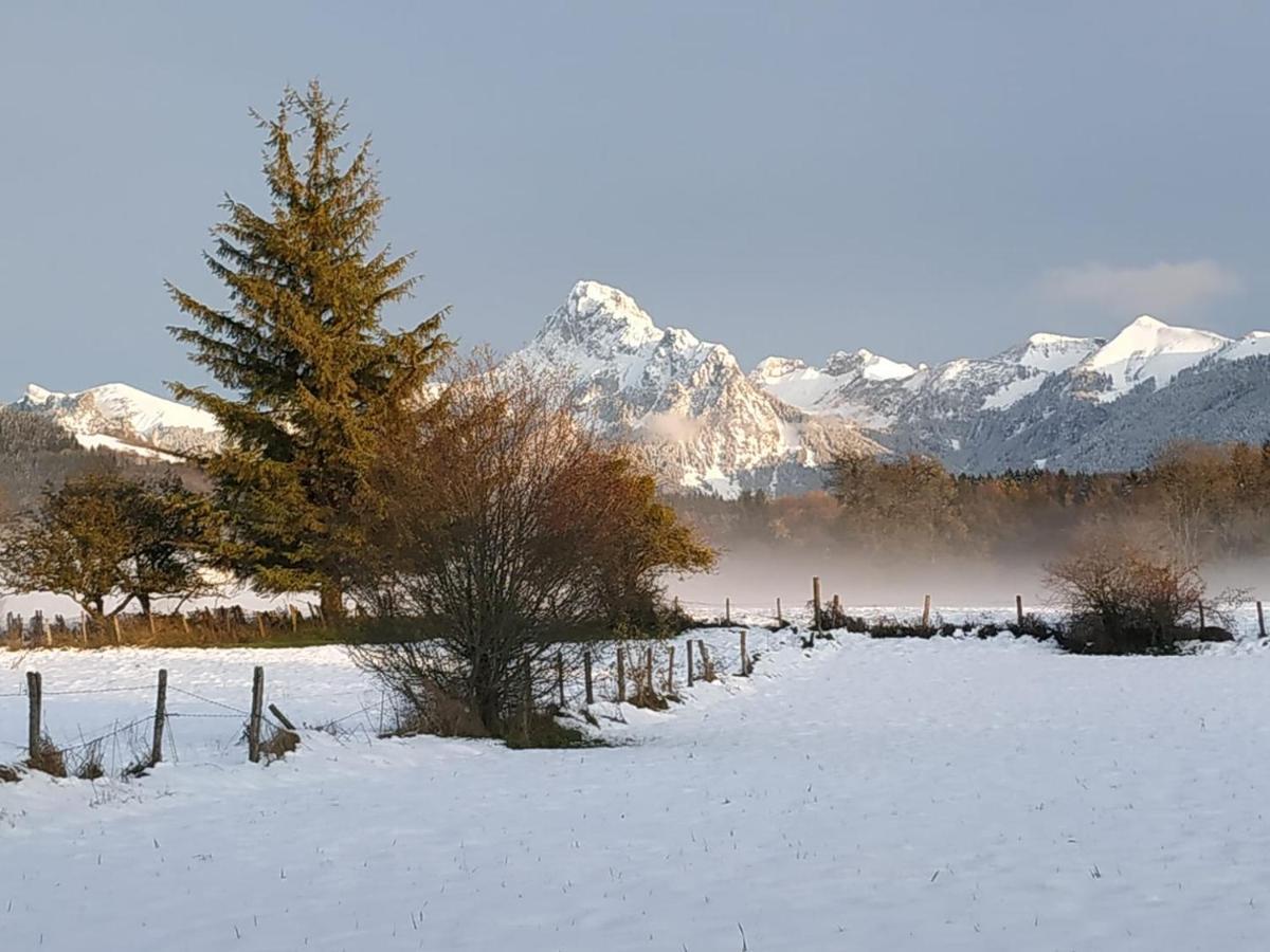 Maison D'Hotes Des Bassins D'Oche Saint-Paul-en-Chablais Kültér fotó