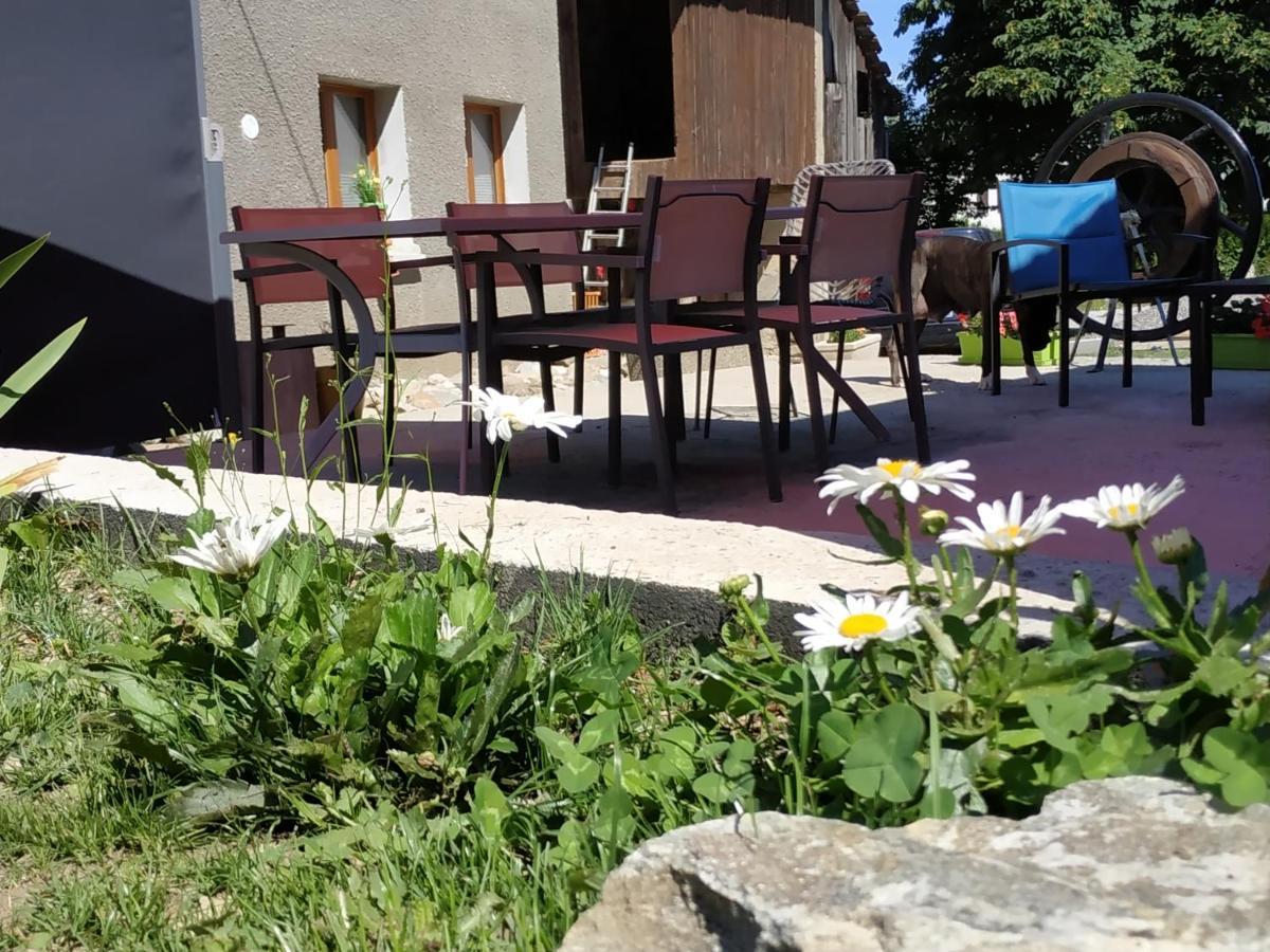Maison D'Hotes Des Bassins D'Oche Saint-Paul-en-Chablais Kültér fotó